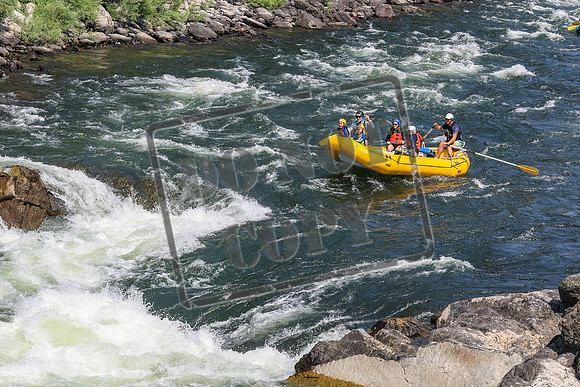 20260731-IMG_3214