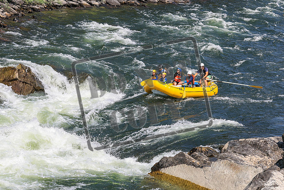 20260731-IMG_3215