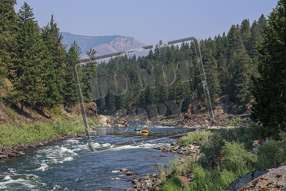 20260731-IMG_3203