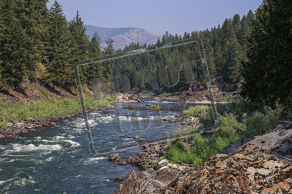 20260731-IMG_3208