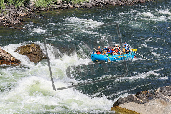 20260731-IMG_3244