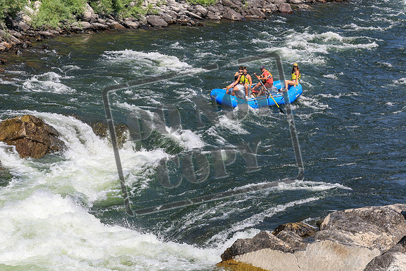 20260731-IMG_3901