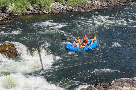20260731-IMG_3902