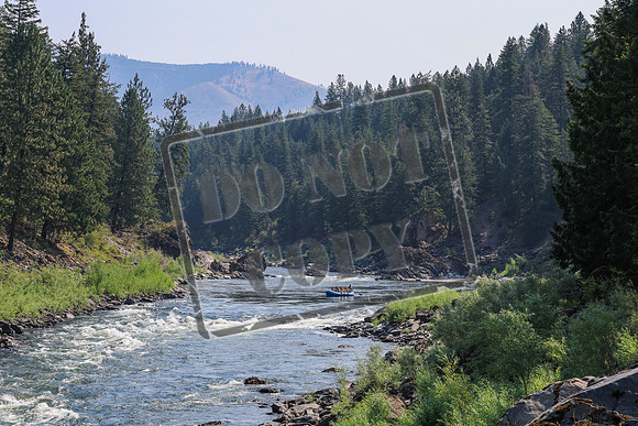 20260731-IMG_1648