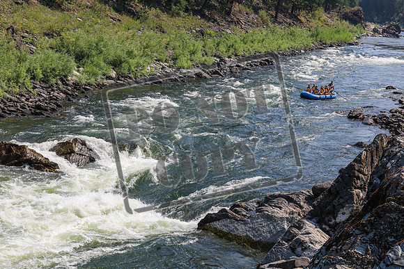 20260731-IMG_1653