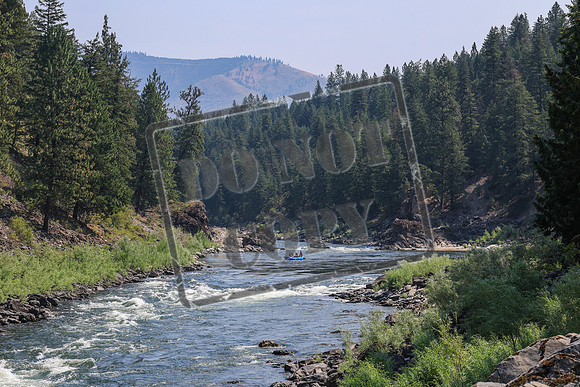 20260731-IMG_1942