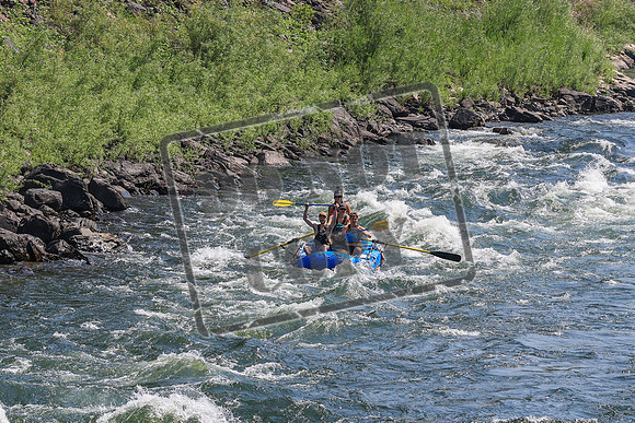 20260731-IMG_1946
