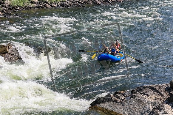 20260731-IMG_1951
