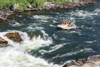 20260731-IMG_3837