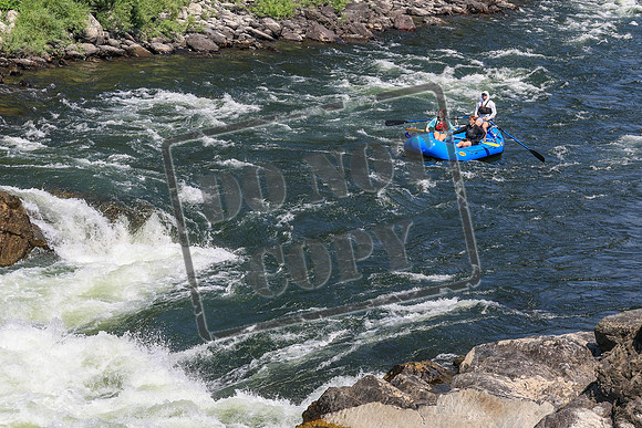 20260731-IMG_3952