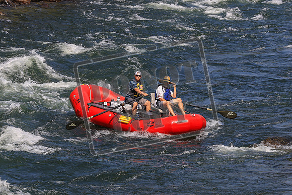 20260731-IMG_4351