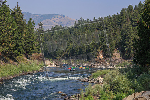 20260731-IMG_4317