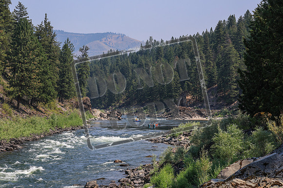 20260731-IMG_2401