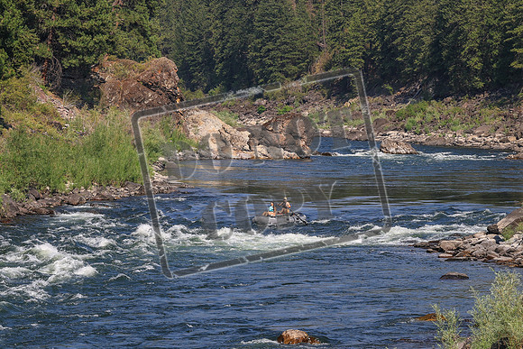 20260731-IMG_4529