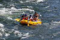 20260731-IMG_2278