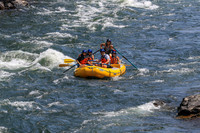 20260731-IMG_2276