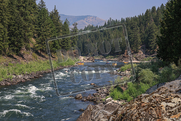 20260731-IMG_3447