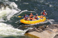 20260731-IMG_3574