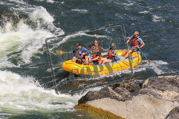 20260731-IMG_3574