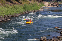 20260731-IMG_3562