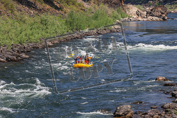 20260731-IMG_3562