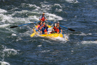 20260731-IMG_3567