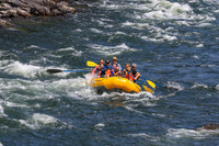 20260731-IMG_3565