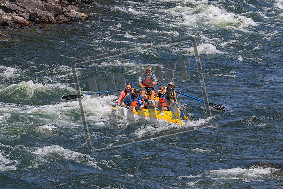20260731-IMG_3564