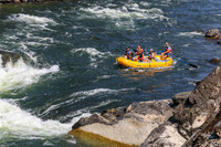 20260731-IMG_3569