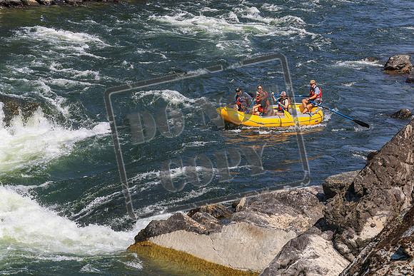 20260731-IMG_3569