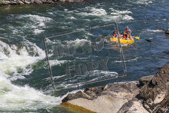 20260731-IMG_3568
