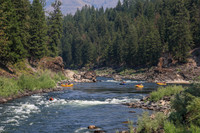 20260731-IMG_3442