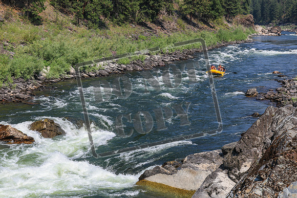 20260731-IMG_3608