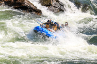20260731-IMG_1761