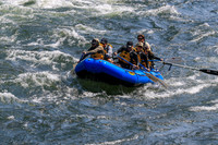 20260731-IMG_1752