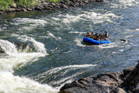 20260731-IMG_1753