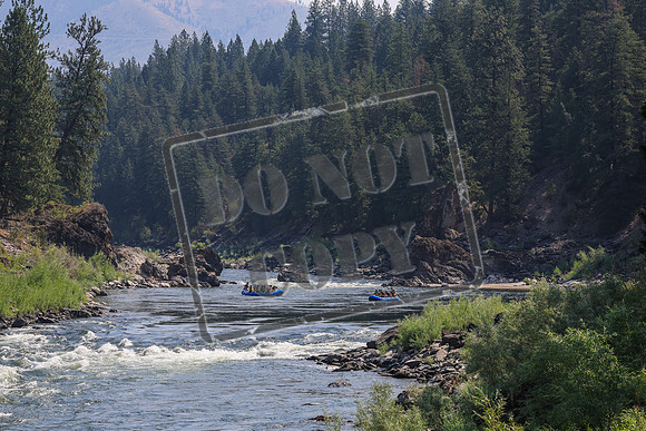 20260731-IMG_1741