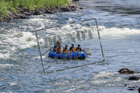 20260731-IMG_1869