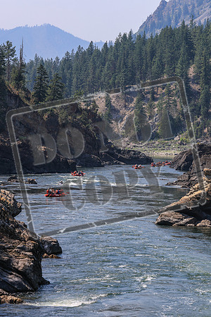 20260731-IMG_2962