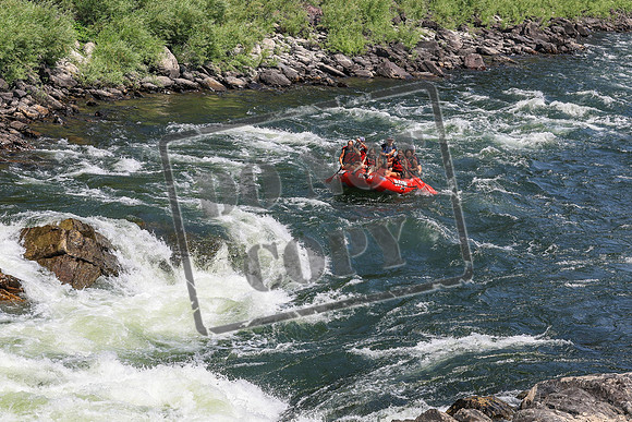 20260731-IMG_2786
