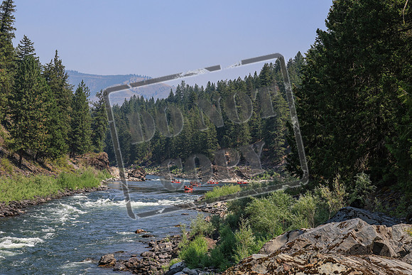 20260731-IMG_2745