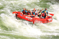 20260731-IMG_2849
