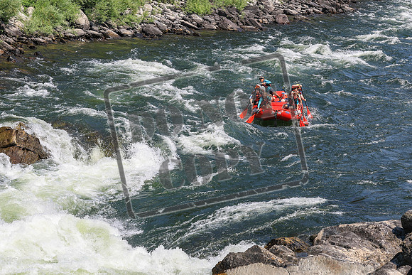 20260731-IMG_2835