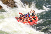 20260731-IMG_2891