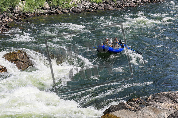 20260731-IMG_2468