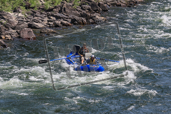 20260731-IMG_2462