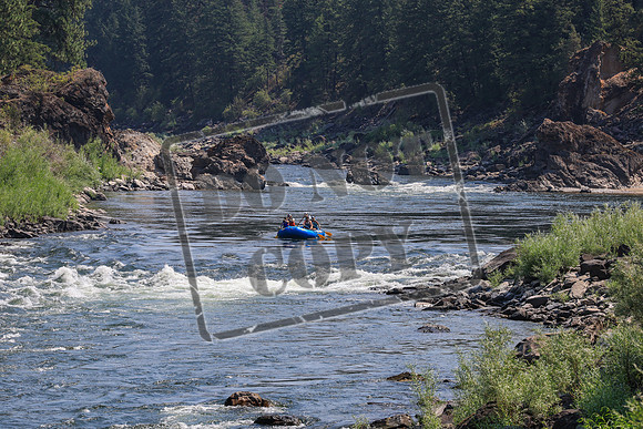 20260731-IMG_1983