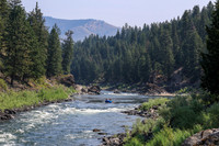 20260731-IMG_1982