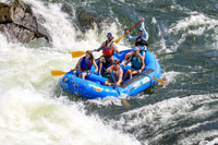 20260731-IMG_1996
