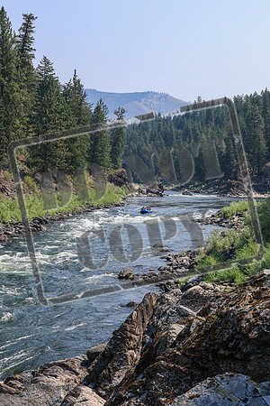 20260731-IMG_1985